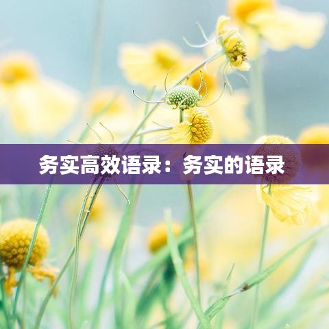 务实高效语录：务实的语录 