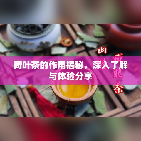 荷叶茶的作用揭秘，深入了解与体验分享