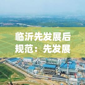 临沂先发展后规范：先发展还是先完善 