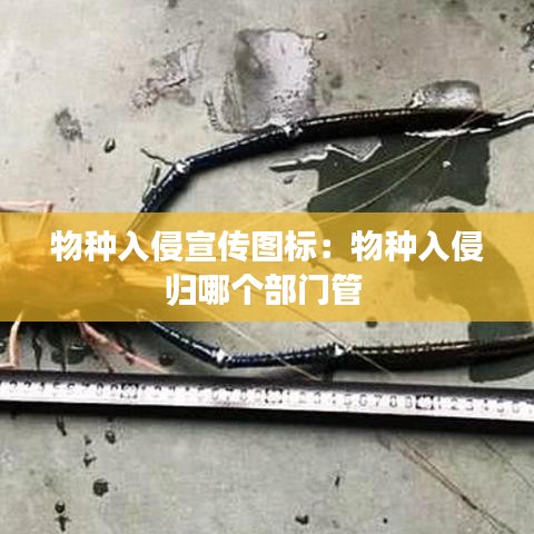 物种入侵宣传图标：物种入侵归哪个部门管 