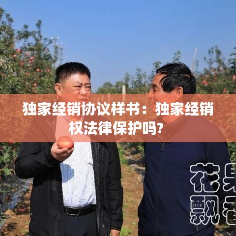独家经销协议样书：独家经销权法律保护吗? 