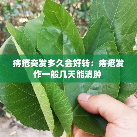 痔疮突发多久会好转：痔疮发作一般几天能消肿 