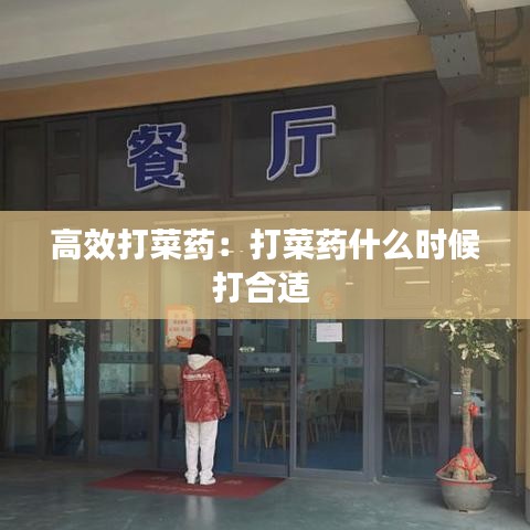 高效打菜药：打菜药什么时候打合适 