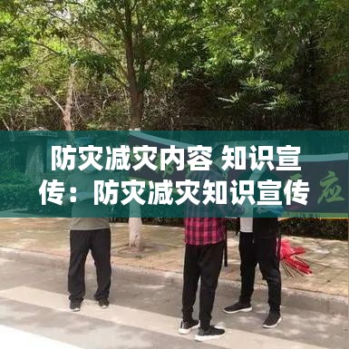 布衣蔬食 第2页