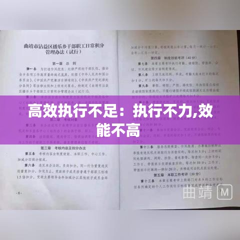 高效执行不足：执行不力,效能不高 
