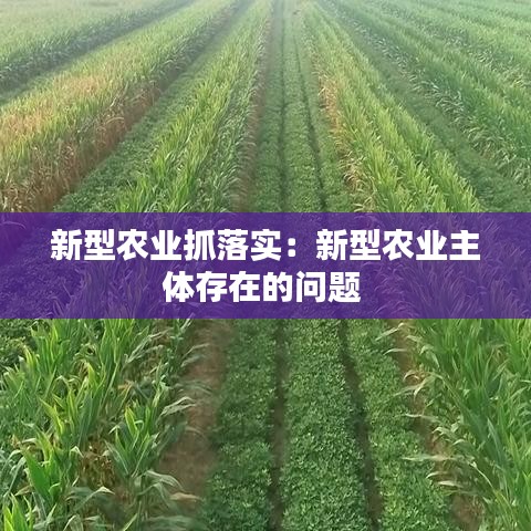新型农业抓落实：新型农业主体存在的问题 