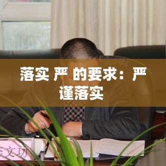 落实 严 的要求：严谨落实 