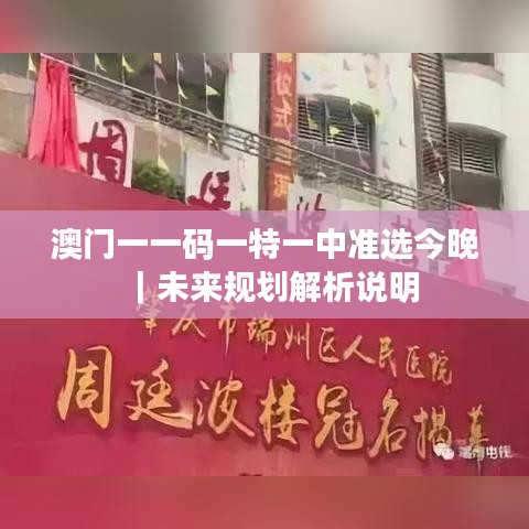 澳门一一码一特一中准选今晚｜未来规划解析说明