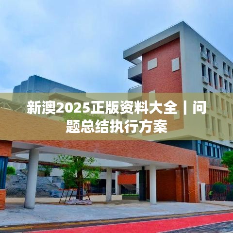 新澳2025正版资料大全｜问题总结执行方案
