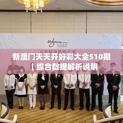 新澳门天天开好彩大全510期｜综合数据解析说明
