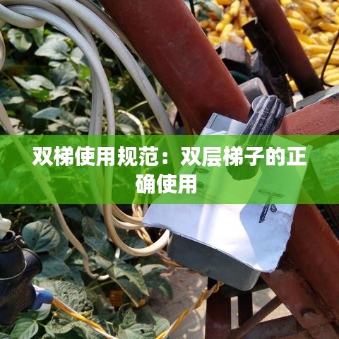 双梯使用规范：双层梯子的正确使用 