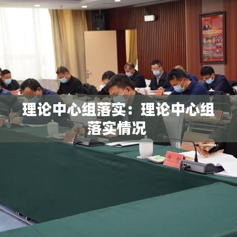 理论中心组落实：理论中心组落实情况 