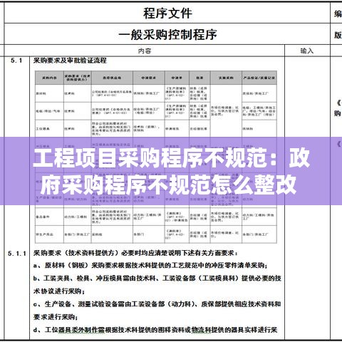工程项目采购程序不规范：政府采购程序不规范怎么整改 