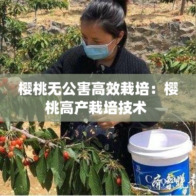 樱桃无公害高效栽培：樱桃高产栽培技术 