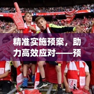 精准实施预案，助力高效应对——预案实施建议深度解读