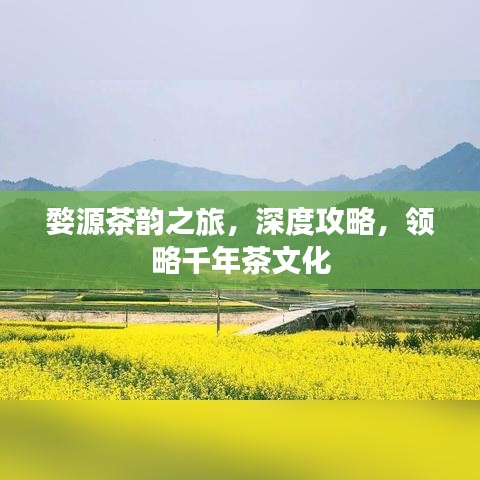 婺源茶韵之旅，深度攻略，领略千年茶文化