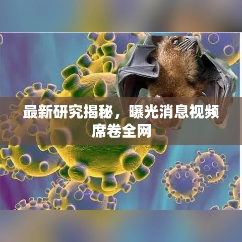 最新研究揭秘，曝光消息视频席卷全网