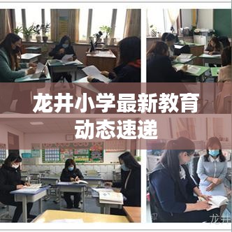 龙井小学最新教育动态速递