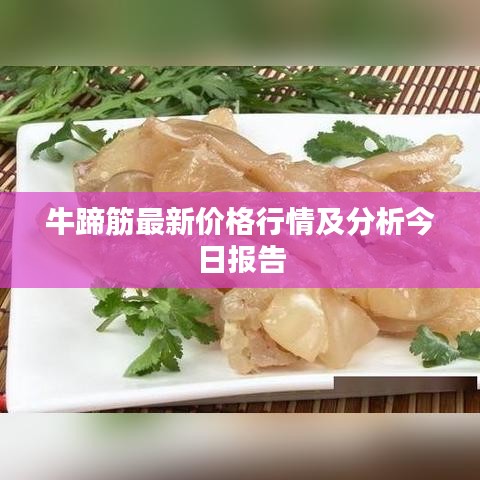 牛蹄筋最新价格行情及分析今日报告