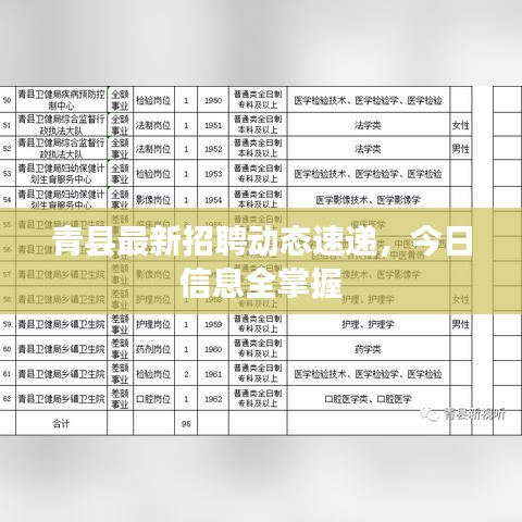 青县最新招聘动态速递，今日信息全掌握