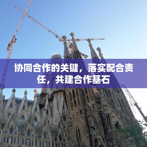 协同合作的关键，落实配合责任，共建合作基石