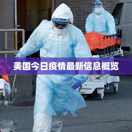 美国今日疫情最新信息概览