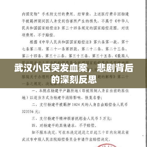 武汉小区突发血案，悲剧背后的深刻反思