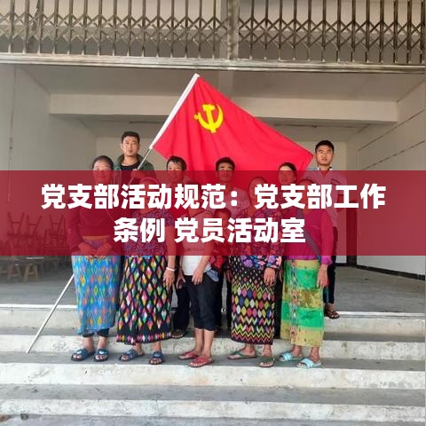 党支部活动规范：党支部工作条例 党员活动室 