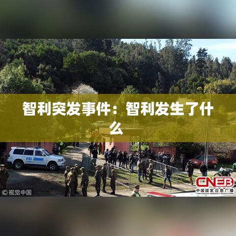 智利突发事件：智利发生了什么 