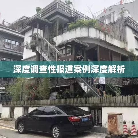 深度调查性报道案例深度解析