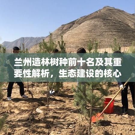 兰州造林树种前十名及其重要性解析，生态建设的核心支柱