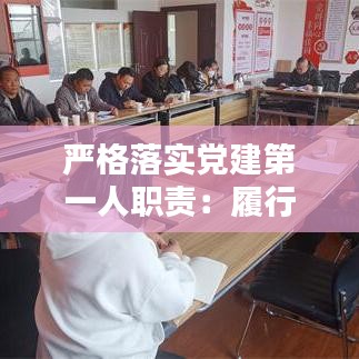 严格落实党建第一人职责：履行抓党建第一责任人职责情况报告 