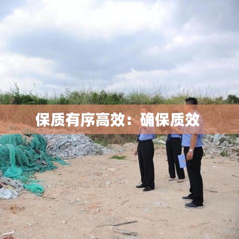 保质有序高效：确保质效 