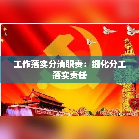 工作落实分清职责：细化分工 落实责任 