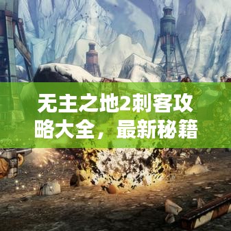 无主之地2刺客攻略大全，最新秘籍与技巧