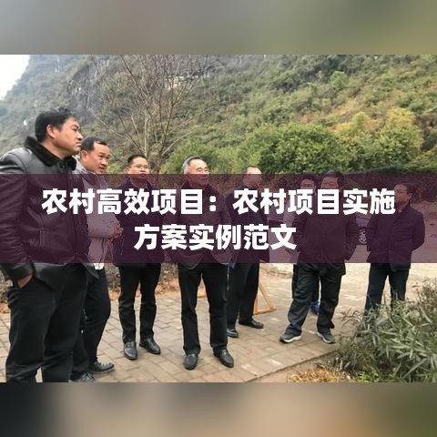 农村高效项目：农村项目实施方案实例范文 
