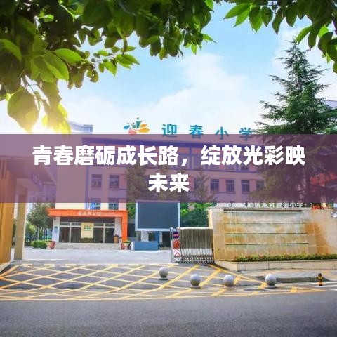 青春磨砺成长路，绽放光彩映未来