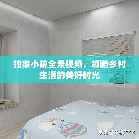 独家小院全景视频，领略乡村生活的美好时光