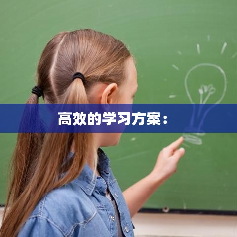 高效的学习方案： 