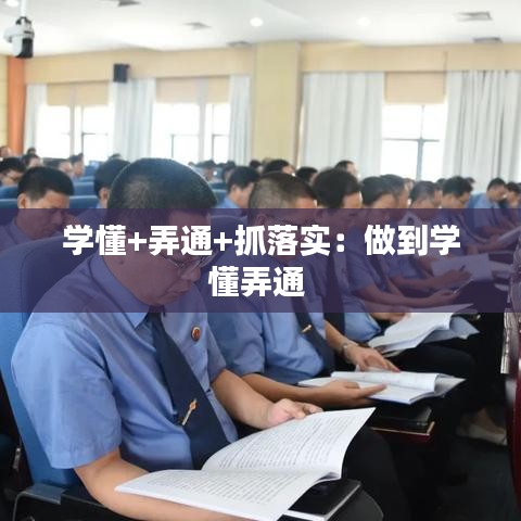 学懂+弄通+抓落实：做到学懂弄通 