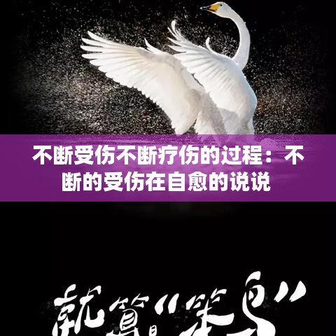 不断受伤不断疗伤的过程：不断的受伤在自愈的说说 