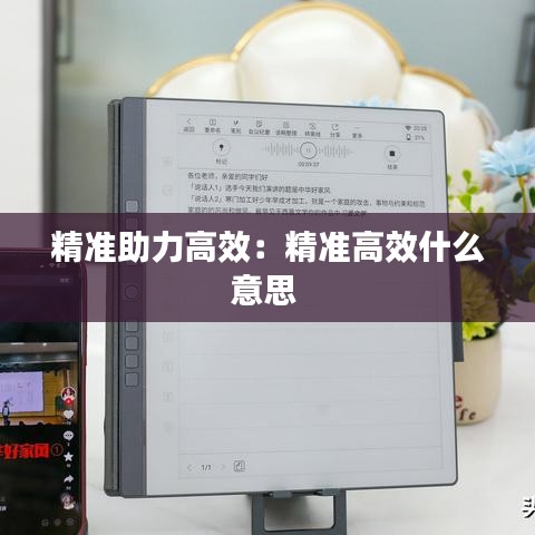 精准助力高效：精准高效什么意思 