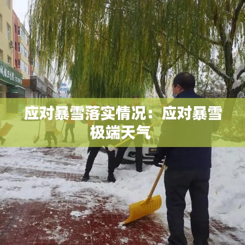 应对暴雪落实情况：应对暴雪极端天气 