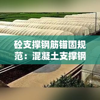 砼支撑钢筋锚固规范：混凝土支撑钢筋含量 