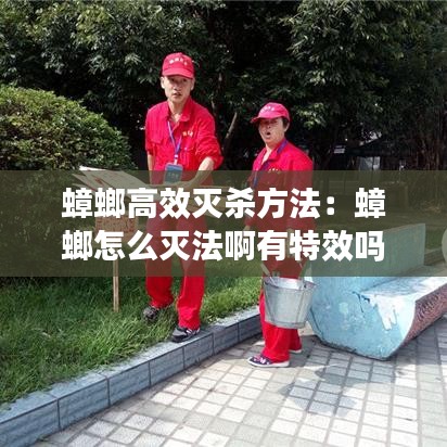 蟑螂高效灭杀方法：蟑螂怎么灭法啊有特效吗 