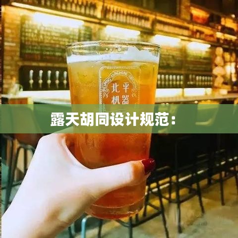 露天胡同设计规范： 