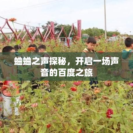 蛐蛐之声探秘，开启一场声音的百度之旅