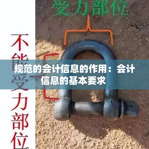 规范的会计信息的作用：会计信息的基本要求 