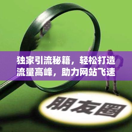 独家引流秘籍，轻松打造流量高峰，助力网站飞速增长！