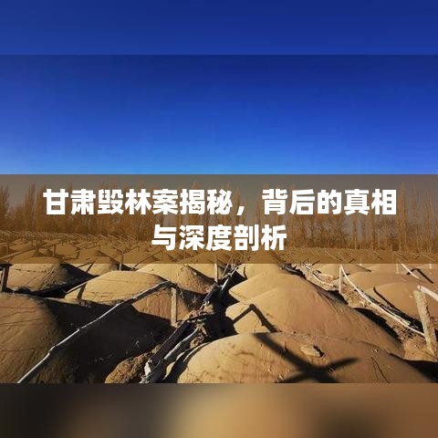 甘肃毁林案揭秘，背后的真相与深度剖析
